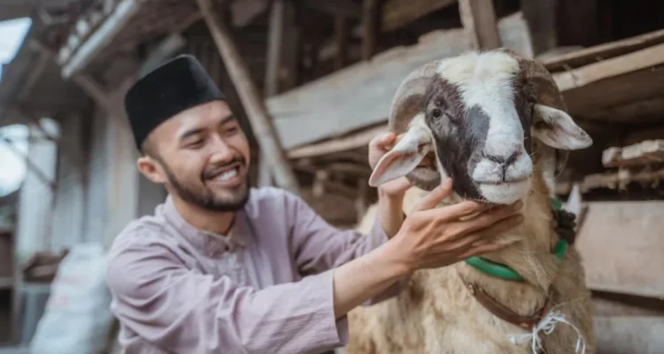 syarat_hewan_kurban